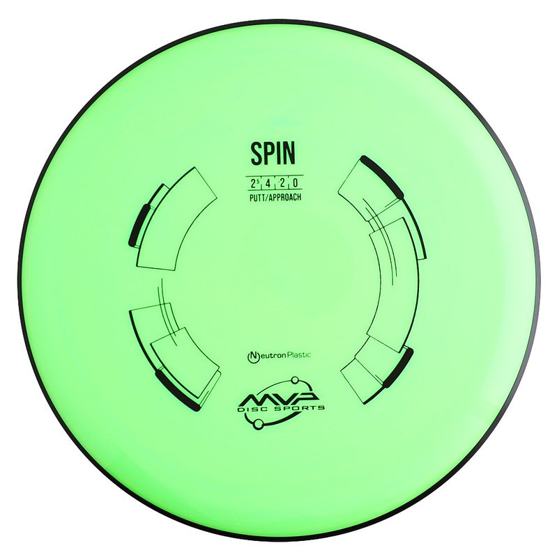 Neutron Spin