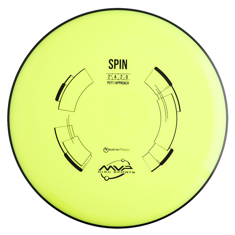 Neutron Spin